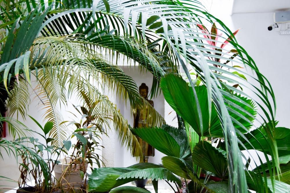 Hotel Zendero Tulum Luaran gambar